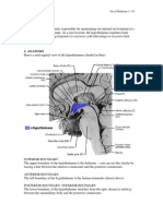 5045 Hypothalamus