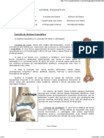 Aula de Anatomia - Sistema Ósseo