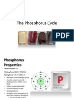 The Phosphorus Cycle