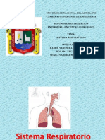 Sistema Respiratorio Unap