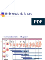 Embriologia de La Cara