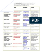 Master Muscle List