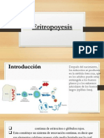 Eritropoyesis