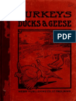 Turkeys, Ducks and Geese