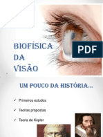 Seminário Biofísica Da Visão