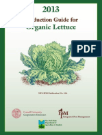 Production Guide For Organic Lettuce