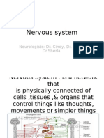 Nervous System: Neurologists: Dr. Cindy, Dr. Kevin, DR - Sherla