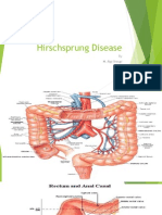 Hirschsprung Disease