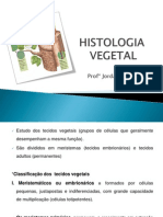 Histologia Vegetal