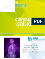 Sistema Nervioso Diapositivas