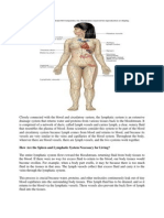 Lymphatic System 