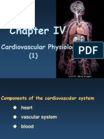 Cardiovascular Physiology