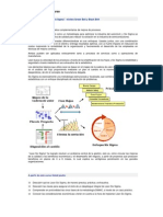 Formación - Lean Six Sigma - Green&Black - Belt