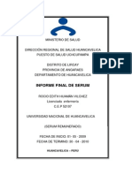 Ejemplo Informe Serum-2010