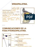 Topograficaregioninfratemporalypterigopalatina 111111201304 Phpapp01