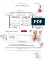 Chapter 1 Respiration Doc1