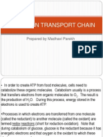 Electron Transport Chain, PPT