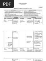 Planificación Primero Básico