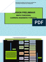 Mapa Funcional Carrera de Ingeniero Forestal. Maria 3