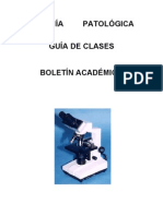 Descripción Curso Anato-Pato