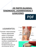 Lesiones de Partes Blandas