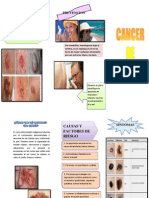 Triptico Cancer de Piel