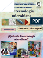 Biotecnologia Microbiana