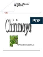 Chirimoyo Ricardo Cautin PUCV Material Complementario Prueba 2 Frutales