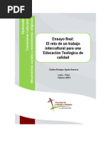 Ensayo Interculturalidad