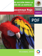 Guacamaya Roja 1