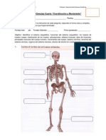 Evaluacion 4TO Cuerpo Humano