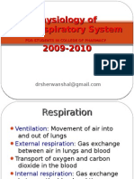 Respiratory System Physiology