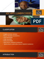 Ascaris Lumbricoides