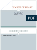 Development of Heart