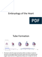 Embryology of The Heart