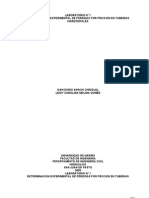 Determinacion Experimental de Perdidas Por Friccion