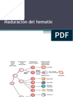 Clase 07 Estructura y Función Del Hematíe