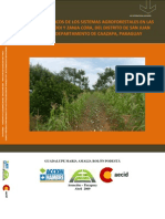 Beneficios Económicos de Los Sistemas Agroforestales en Las Comunidades Pindoi y Zanja Cora (Tesis de Grado)