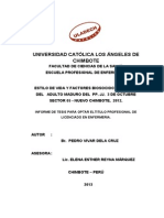 Informe Tesis Pedro Vivar - Corregido-2