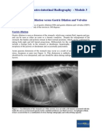 Gastro Intestinal Radiography3