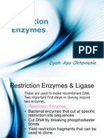 Restriction Enzymes: Dyah Ayu Oktavianie