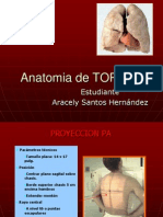 Anatomia Del Torax