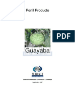 Perfil Guava