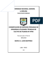 Conservacion de Especies Peruanas de Orquideas Utilizando Tecnicas de Cultivo de Tejidos Vegetales