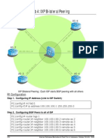 Lab 4: IXP Bi-Lateral Peering