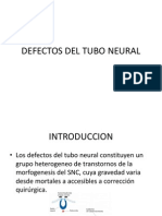 Defectos Del Tubo Neural