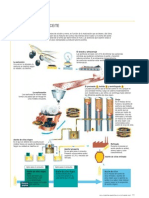Fabricacion Aceite Oliva Virgen