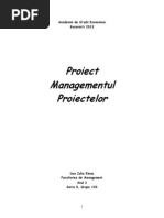 Proiect Managementul Proiectelor