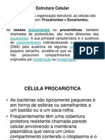 Aula 3 Célula Procarionte e Eucarionte