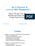 Chapter 1: Overview of Financial Risk Managment